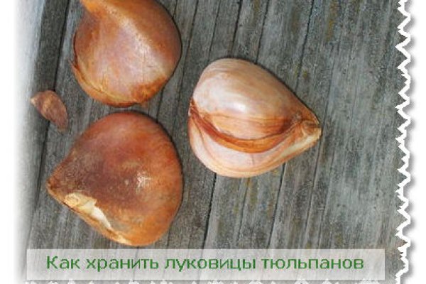 Кракен ссылка тор kr2web in